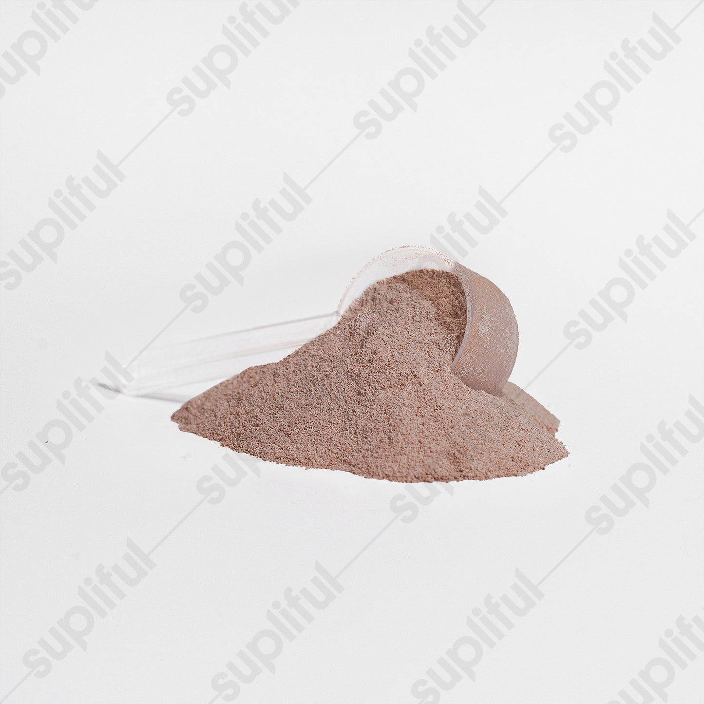 Isolate Protein (Chocolate)